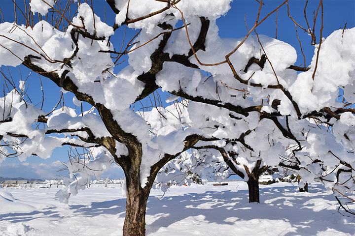 防災・雪害対策